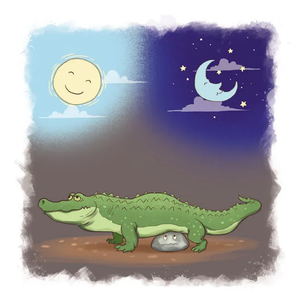 Premium Illustrations